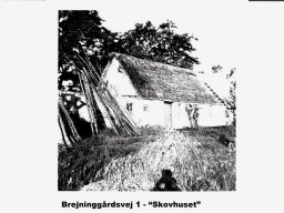 &quot;Skovhuset&quot; Brejninggaardsvej 1